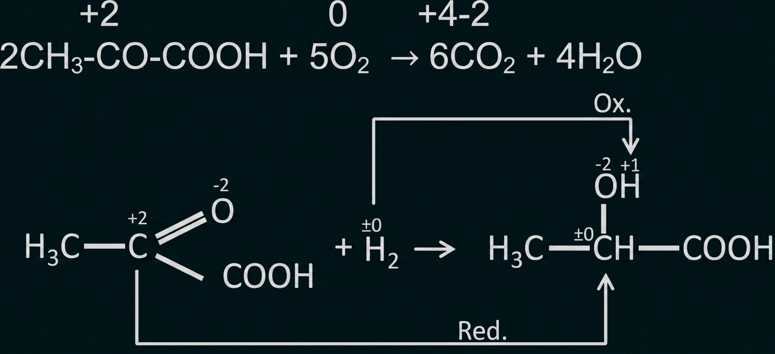 Chemische Reaktionsgleichung mit Oxidation und Reduktion von Essigsäure/organischer Verbindung.